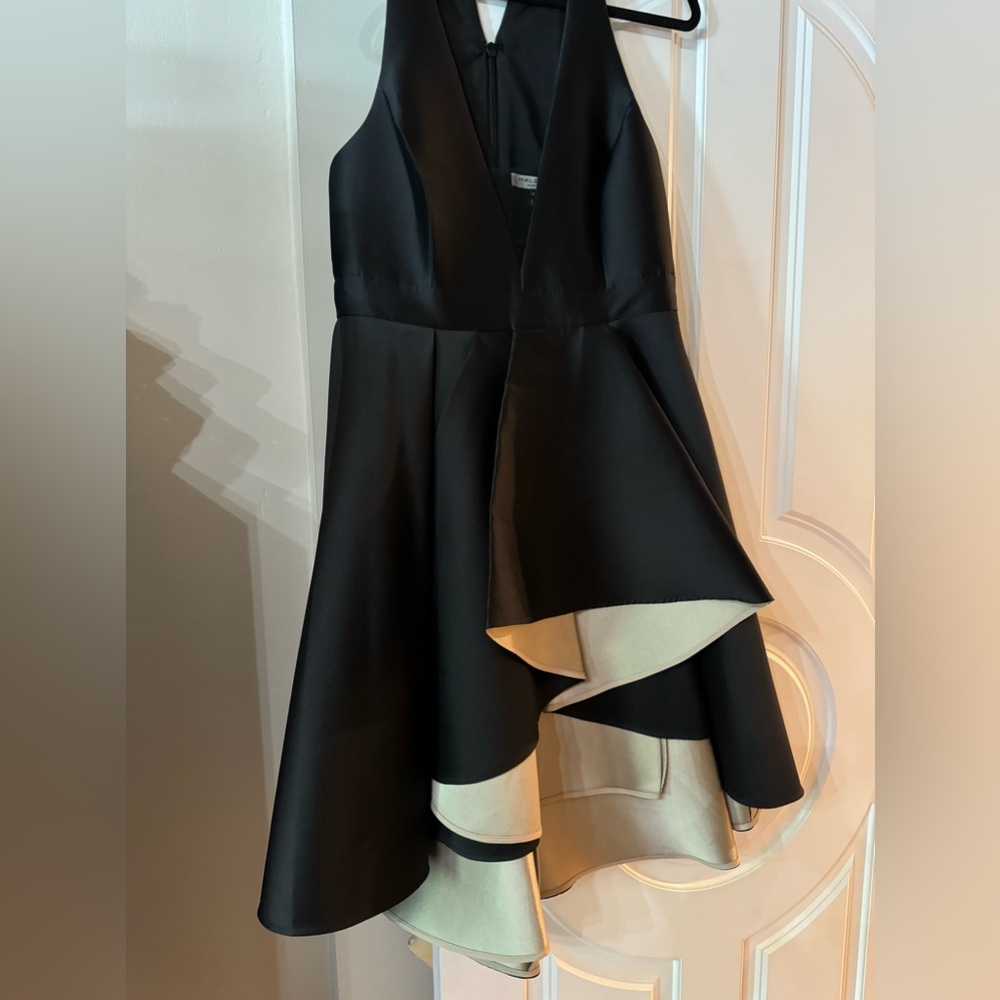 Halston Heritage dress 10